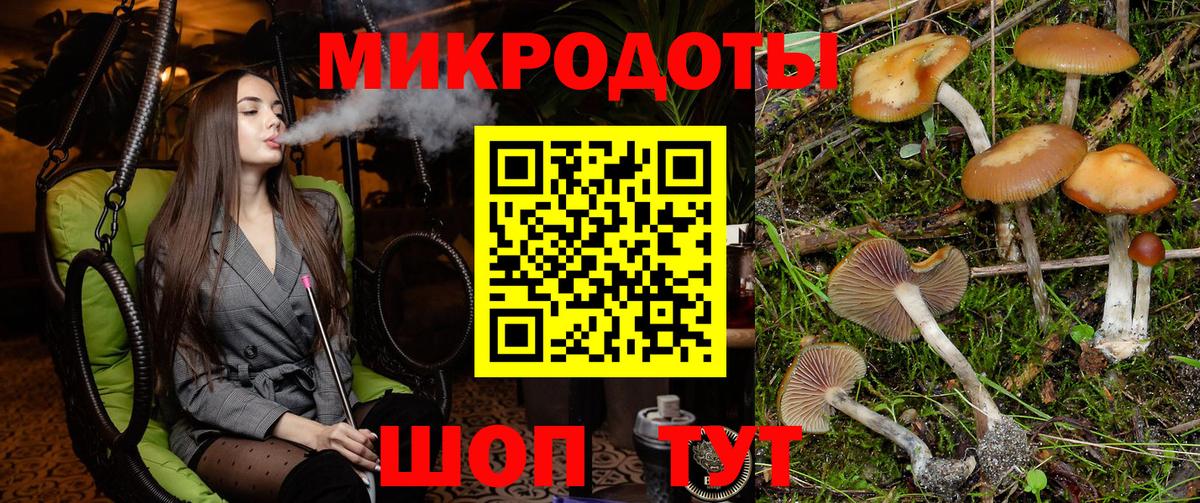 Канск  Псилоцибиновые грибы прущие грибы  Вход с VPN 